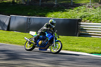 cadwell-no-limits-trackday;cadwell-park;cadwell-park-photographs;cadwell-trackday-photographs;enduro-digital-images;event-digital-images;eventdigitalimages;no-limits-trackdays;peter-wileman-photography;racing-digital-images;trackday-digital-images;trackday-photos